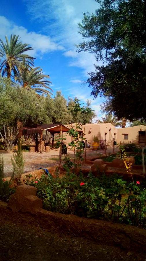 Hotel Eco-Ferme Tamalait Skoura Esterno foto