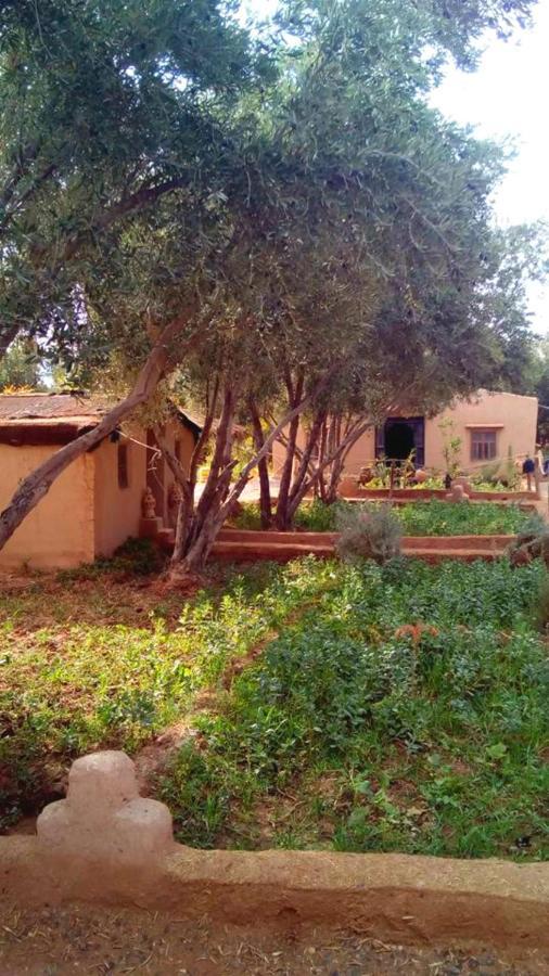 Hotel Eco-Ferme Tamalait Skoura Esterno foto